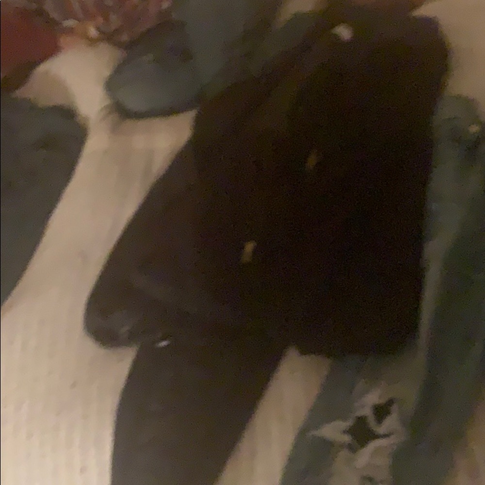 North face